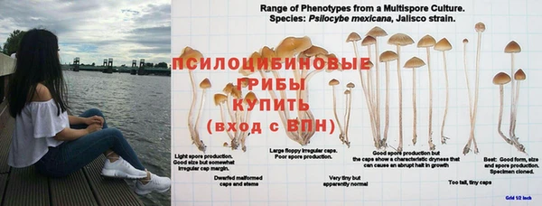 бутират Алзамай