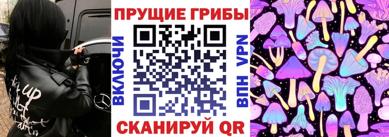 Галлюциногенные грибы Psilocybe  дарнет шоп  Самара 